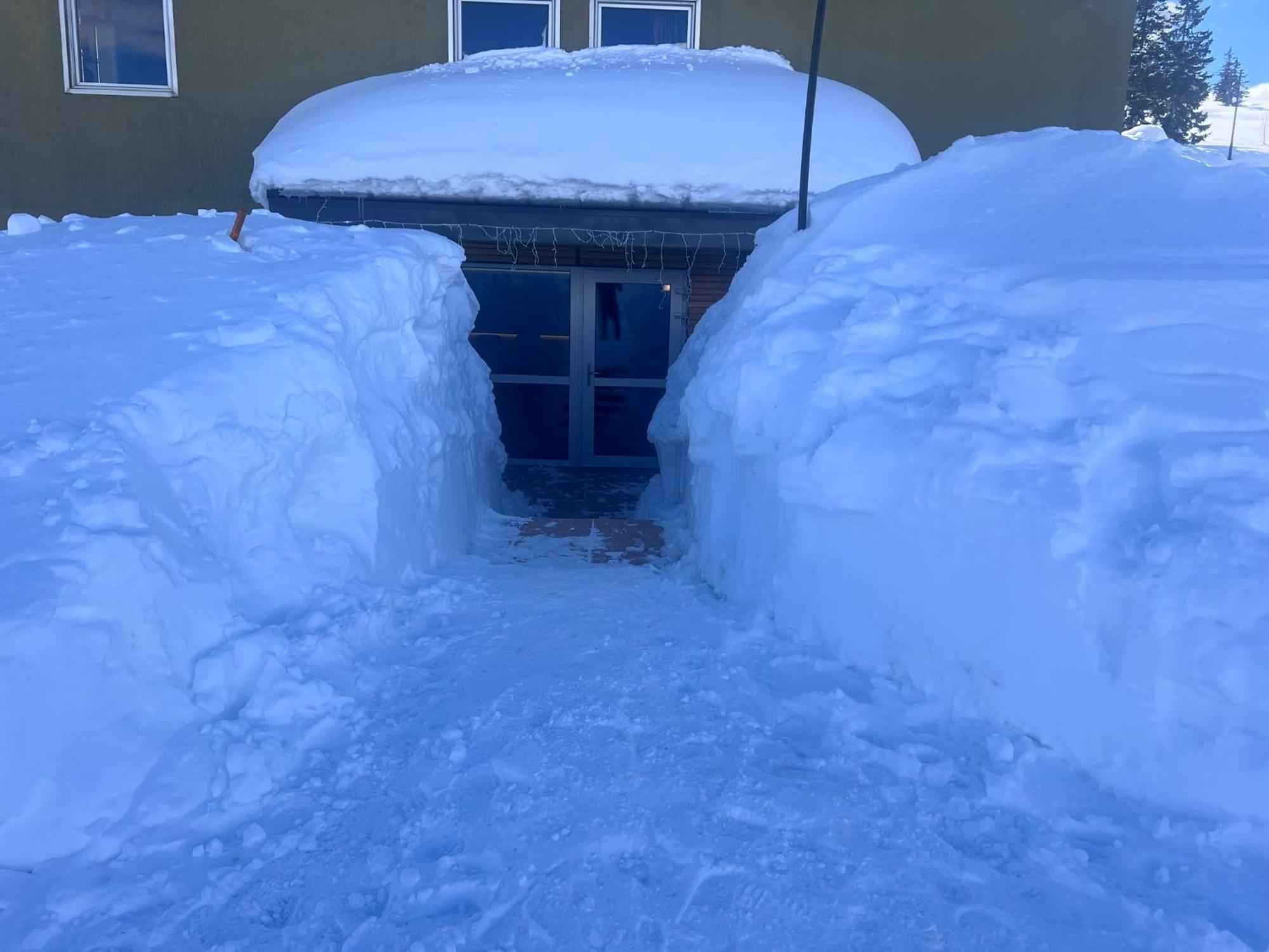 Anemone Bianco Suite Rooms Passo del Tonale Esterno foto